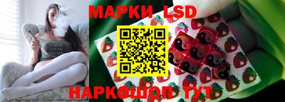 ГАЛЛЮЦИНОГЕННЫЕ ГРИБЫ Кингисепп