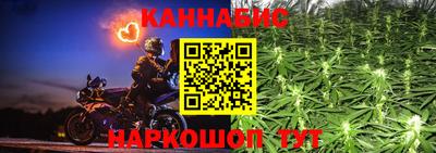 ГАЛЛЮЦИНОГЕННЫЕ ГРИБЫ Кингисепп