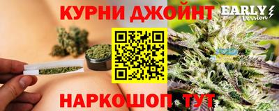 ГАЛЛЮЦИНОГЕННЫЕ ГРИБЫ Кингисепп