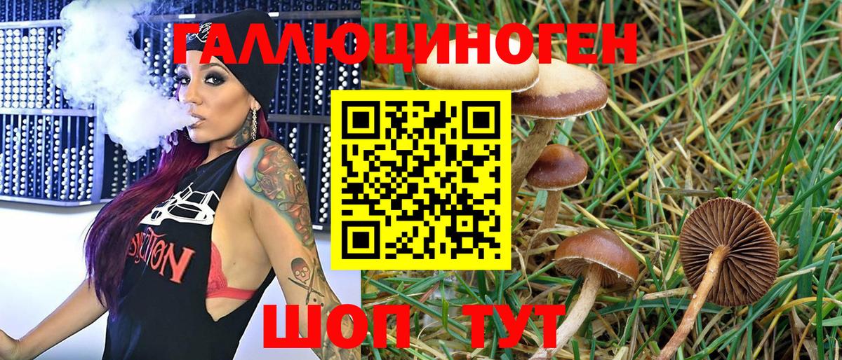 Галлюциногенные грибы MAGIC MUSHROOMS  Вход с VPN  купить наркотик  Кудымкар 
