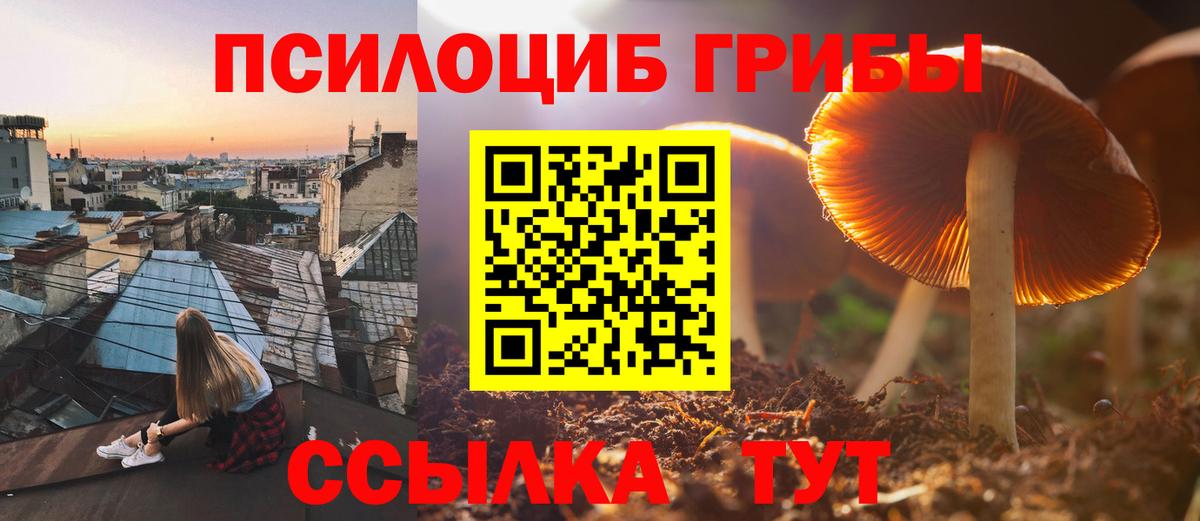 Псилоцибиновые грибы MAGIC MUSHROOMS Кудымкар